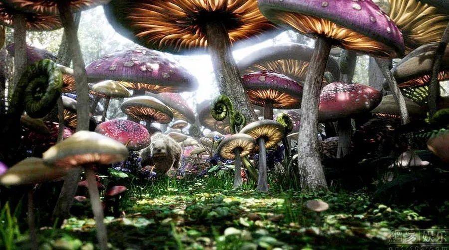 植物大战僵尸5